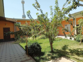 House with a fireplace in the center of Tashkent